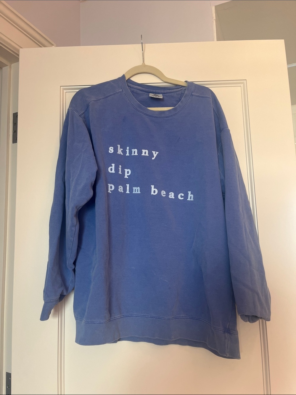 Skinny Dip Purple Palm Beach Blue Logo Sweatshirt